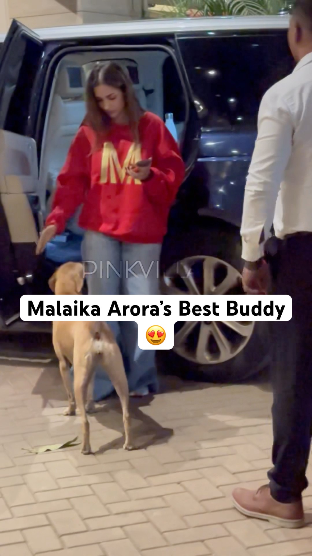 Malaika Arora’s Buddy Always Waits For Her?? #shorts #bollywood #doglover
