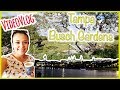 Mini-vacaciones en Tampa + Busch Gardens + Yuengling Tour - VideoVlog