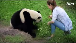 0B17482E 5Dc0 48B8 8955 4103559C16Db Watermark