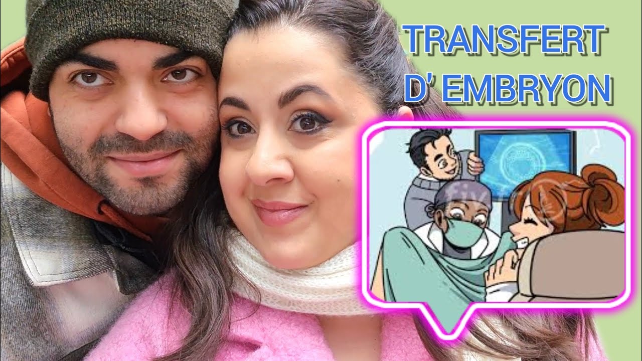 Transfert Embryon Transfert D'Embryon / Jour