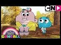 Gumball  nicole meets richard  cartoon network