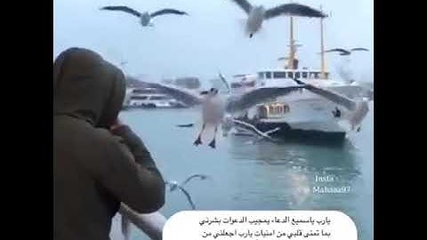 ||الراحة النفسية||جميل جدا القارئ اسلام صبحي||
