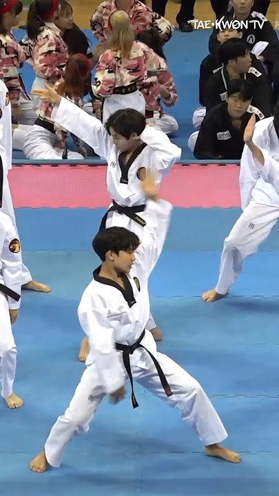 #baggyjeans #ktigers #shorts #taekwondoaerobic