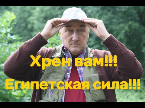 Воронины 'Хрень' и 'Египетская сила'|14 сезон!