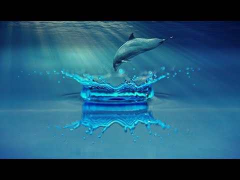 Relaxing Music; Reiki Music; Yoga Music; New Age Music; Relaxation Music; Spa Music; 🌅