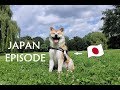 AKITA INU - Japan Episode | 秋田犬