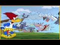 Woody Woodpecker | Difficult Delivery | Full Episodes