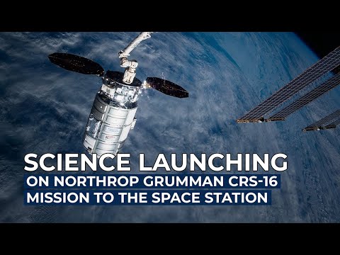 Science Launching on Northrop Grumman CRS-16 Mission to the International Space Station