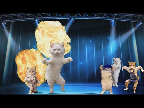 Dansstopp Med Jonas Katter Dansstopp Musik För Barn