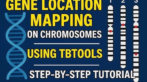 🧬 Gene Location Mapping on Chromosomes using TBtools | Step-by-Step Tutorial