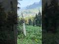 Somewhere in the Ha Giang Loop Mountains (IMG 4448)
