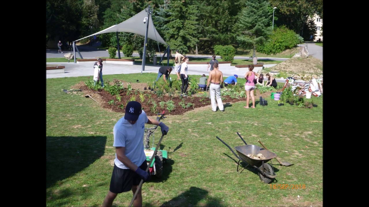 Včelí bufet pri TUZVO
