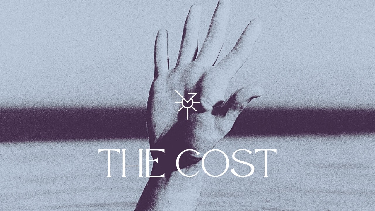 LAMIRA - The Cost (Fractured Mirror Visualiser)
