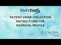 Patient Urine Collection Instructions for NutrEval Profile
