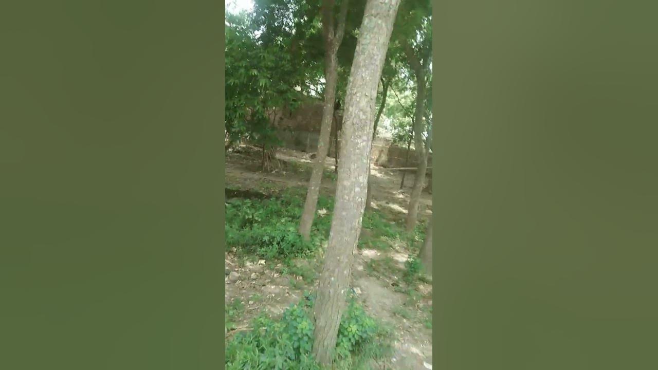 s.k101 - YouTube