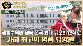 [요양원 소개] 실버타운 같은 요양원을 찾으셨나요? 수목원 내 전국 최대 규모 산책로를 품은 서울 굿케어 힐링센터 요양원을 소개합니다! 강남요양원, 서울요양원 | 요양이 TV