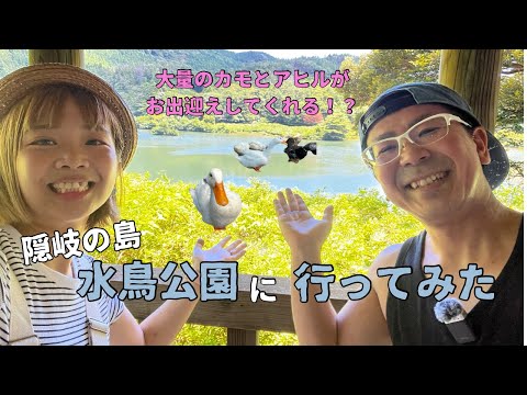 【Iwamoto】ことりのおおきなあそびば Iwamoto】ことりのおおきなあそびば ことりのおおきなあそびば