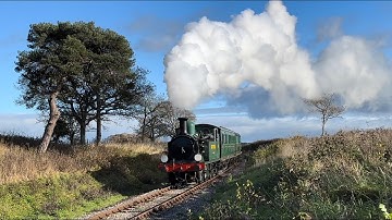 LSWR O2 Class W24 Calbourne - Photo Charter