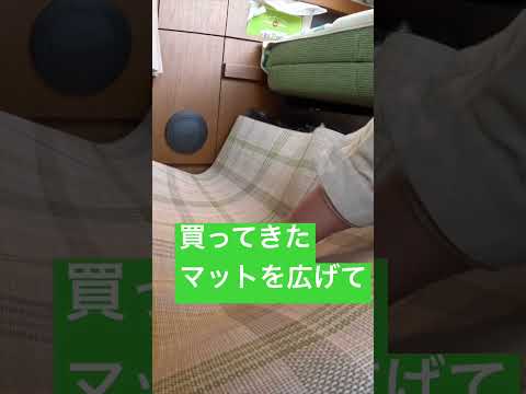 【キャンピングカー快適化】後部足元マットをニトリのキッチンマットで作る？切るだけ😅#ハイエースキャンピングカー #快適化#足元マット#トイファクトリー#ランドティピー