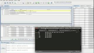Celebrity Generic Assembler demo Profile