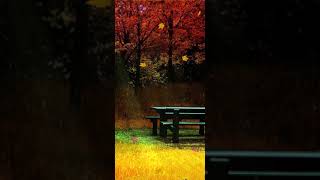 Cute fall backgrounds live wallpaper | Autumn Scenery Wallpaper | Autumn Aesthetic Wallpaper screenshot 5