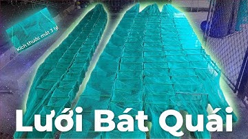 Lồng Bát Quái - Bắt Tôm Cua Cá Lươn Trạch Ếch Ba Ba | A Quang ĐT:0989.324.396