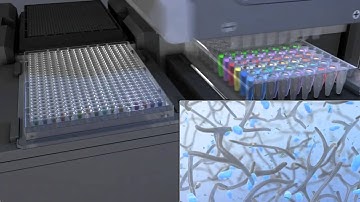 A new dimension for cell culture