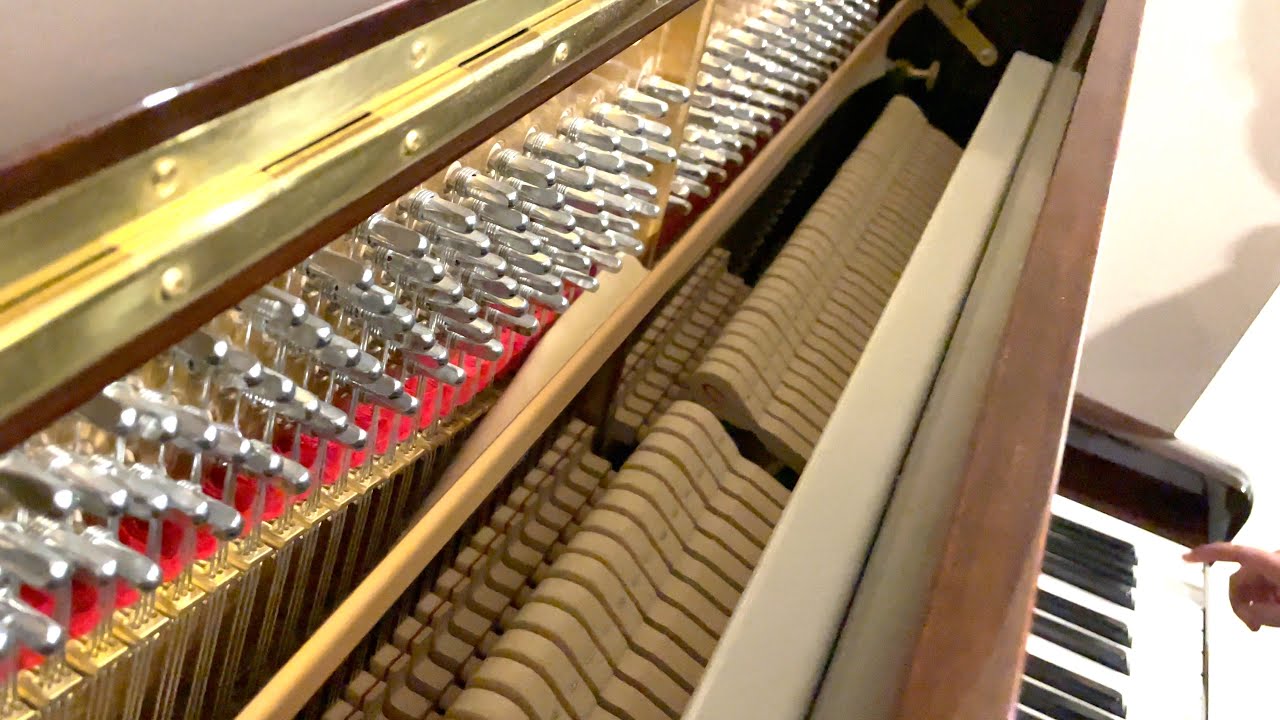 How PIANO pedals work shorts YouTube