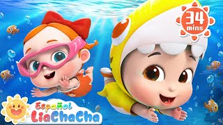 Bebé Tiburón | Baby Shark Doo Doo Doo | LiaChaCha en Español  Canciones Infantiles