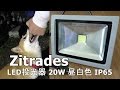 柴犬小春　庭で夜遊び　Zitrades LED投光器 20W 昼白色 IP65【企業コラボ】