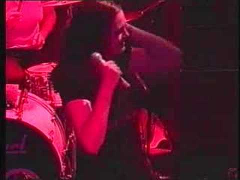 Ratso meets the Donnas (Chic-A-Go-Go)