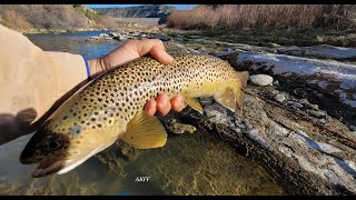 San Juan River Fly Fishing Report  April 2024 Main Channel Nymphing Testing the New Rod