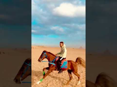 لو معملش انا مليون مشكلة يومى مبيعديش عصام صاصا عصام صاصا الكروان عصام صاصا الكروان عصام