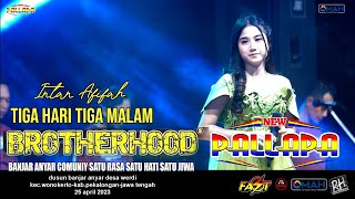 TIGA HARI TIGA MALAM - INTAN AFIFAH - NEW PALLAPA - LIVE BROTHERHOODS 2023