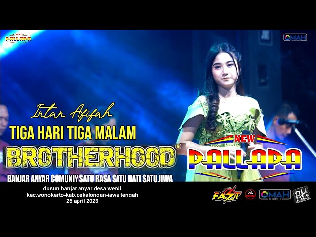 TIGA HARI TIGA MALAM - INTAN AFIFAH - NEW PALLAPA - LIVE BROTHERHOODS 2023 class=