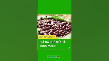 Giá cà phê hôm nay 25/10/2025: Giữ đà tăng mạnh