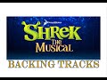Shrek 23 Bows Shrek 23 Bows