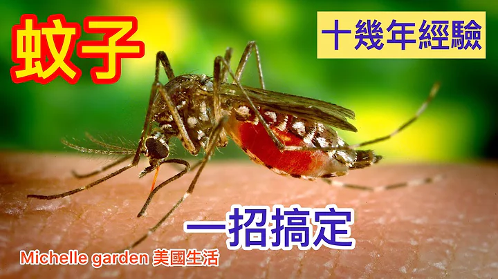 （18）自制最强刹蚊水，蚊子怎样一招搞定？十几年经验，蚊子来多少死多少，家中的蚊子全部消失了！ - 天天要闻