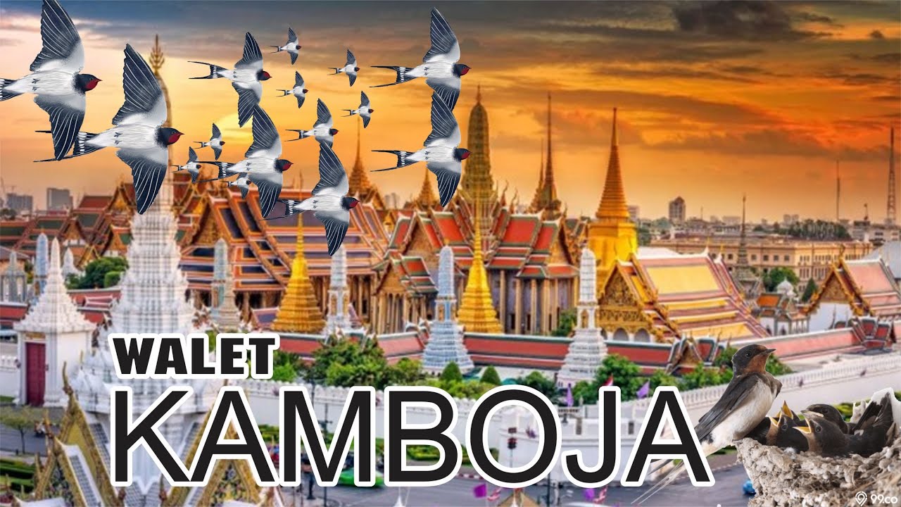 SUARA BURUNG WALET - KAMBOJA