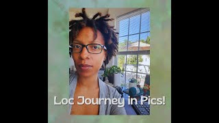 Freeform Locs - 2 Years of Growth in Pictures