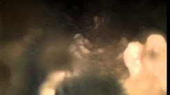 Clark County Plumbing & Drain LLC - 3331 NW 47th Dr Camas WA 98607