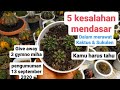 5 KESALAHAN MENDASAR DALAM MERAWAT KAKTUS & SUKULEN