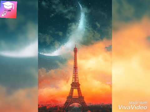 مقابلة نيوتن مع ميكو موتو