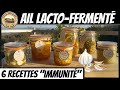 Ail lactoferment 6 recettes rapides et faciles pour booster limmunit