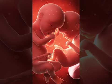 Wideo: Czy bliźnięta pojawią się na teście ciążowym?