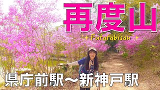 【兵庫県神戸市】再度山✨諏訪神社から大師道で再度山と再度公園😀2025年4月19日