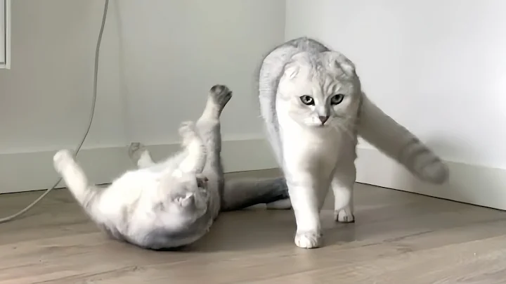 Watch the video about Day 1