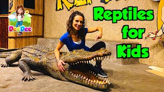 Reptiles for Kids | Educational Videos image