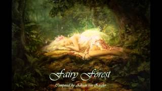 Video thumbnail of "Celtic Music - Fairy Forest"