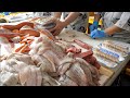 10평 초밥집에서 월매출 2억?! 부산 해운대 시장을 평정한 전설의 칼잡이, 회 썰기 달인 best fish cutting master - Korean street food